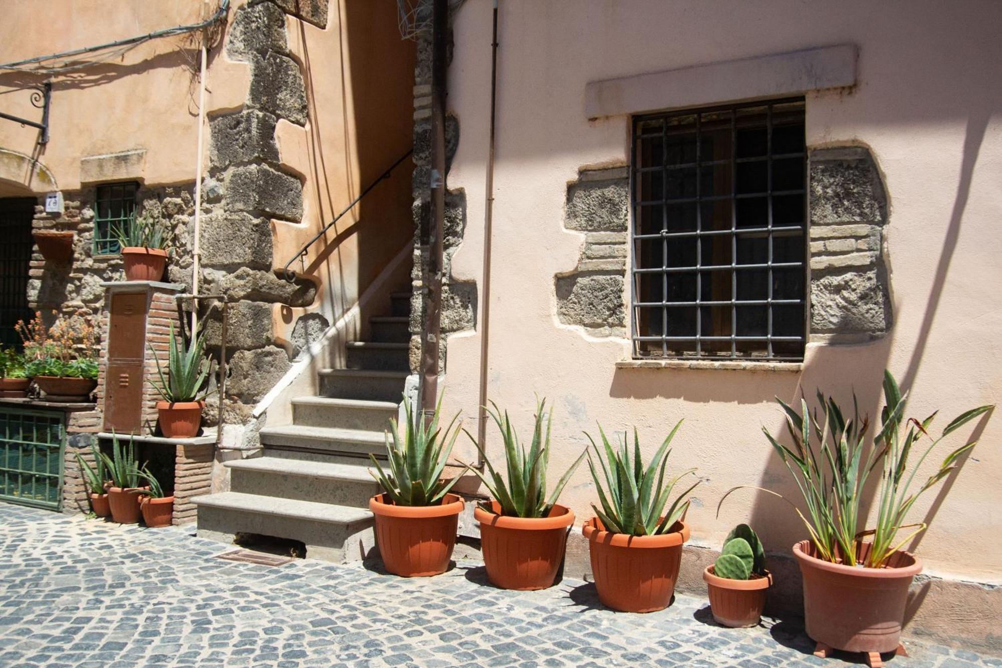 Appartamento Finestra Sul Borgo Trevignano Romano Esterno foto